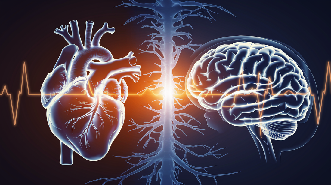 The Power of Heart-Brain Coherence for lasting well-being